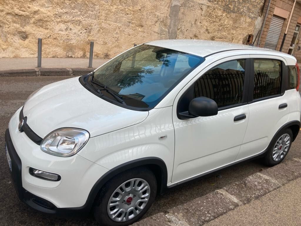 Fiat Panda 2023