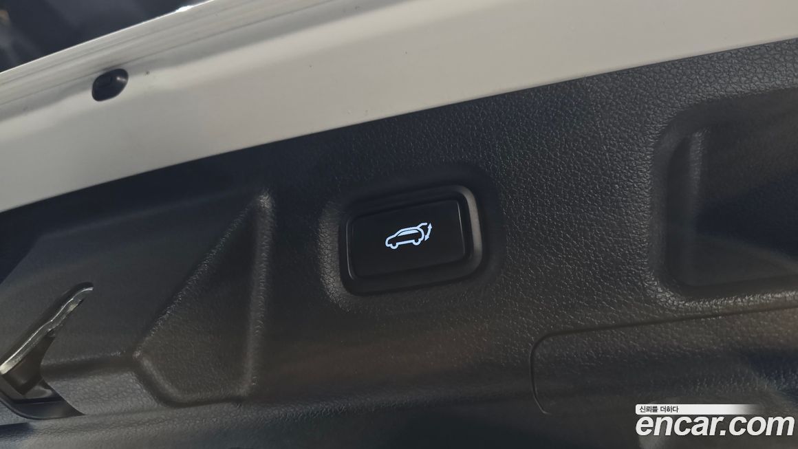 Hyundai Santafe 2022