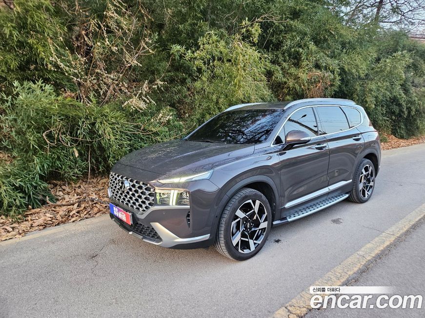 Hyundai Santafe 2021