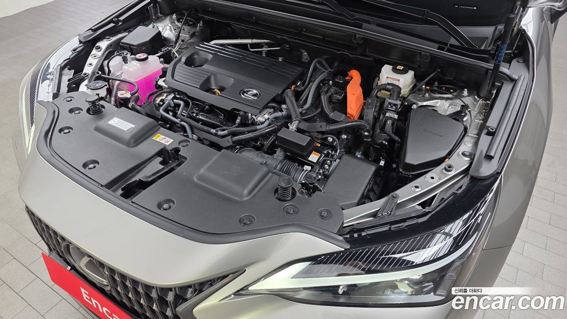 Lexus NX 2025