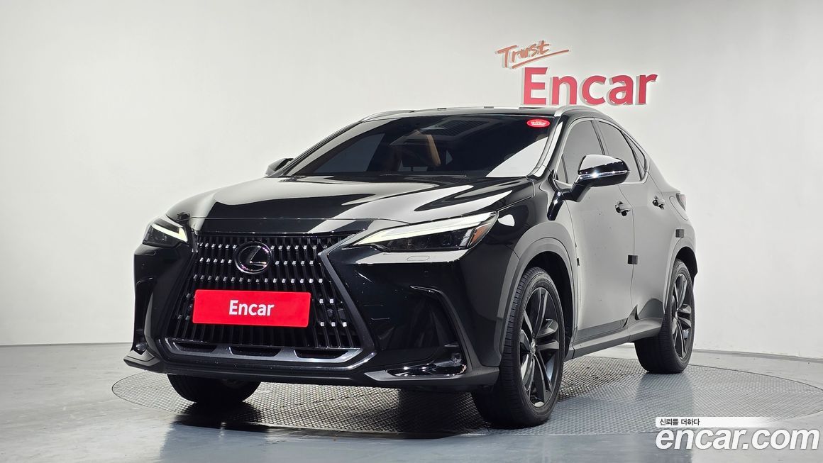 Lexus NX 2024