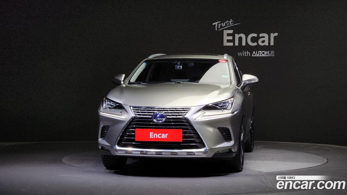 Lexus NX 2018