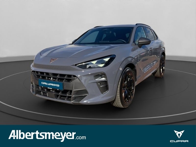 Cupra Terramar 2024
