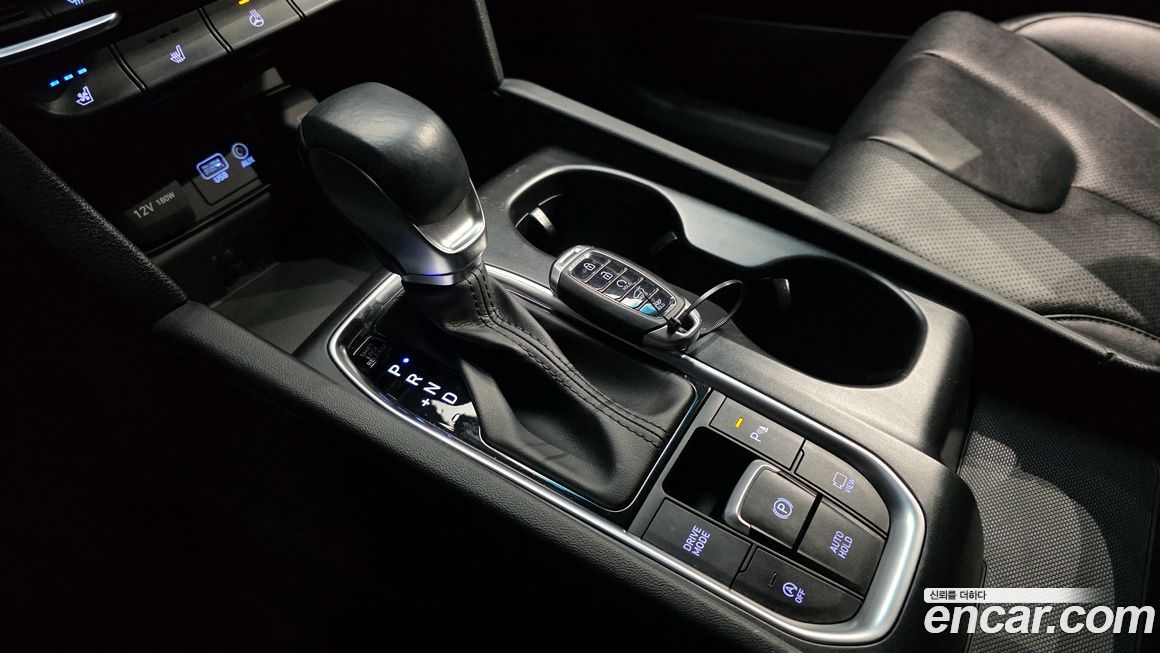 Hyundai Santafe 2020