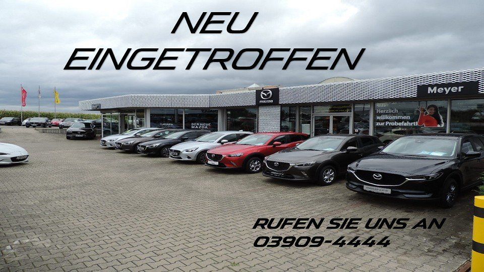 Seat Ibiza 2022