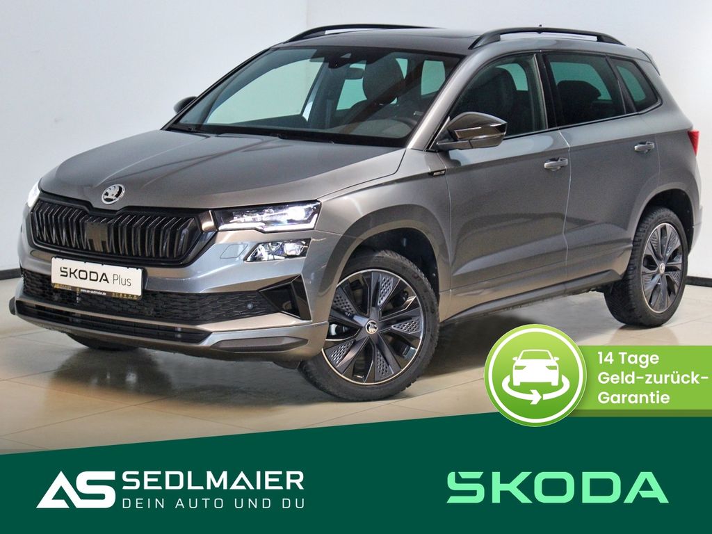 Skoda Karoq 2024