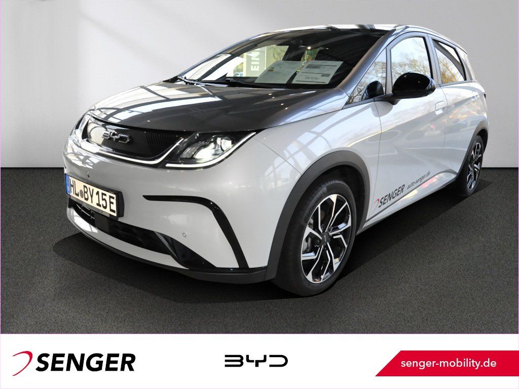 BYD DOLPHIN 2025