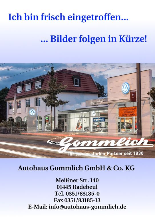 Skoda Kamiq 2022