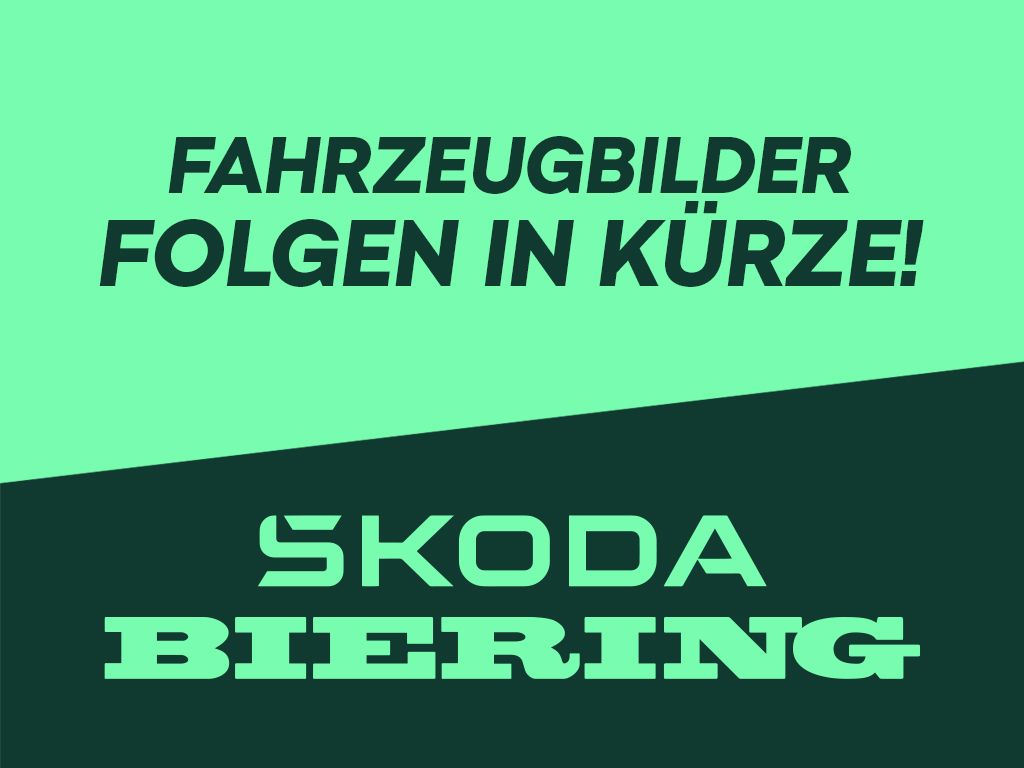 Skoda Kamiq 2024