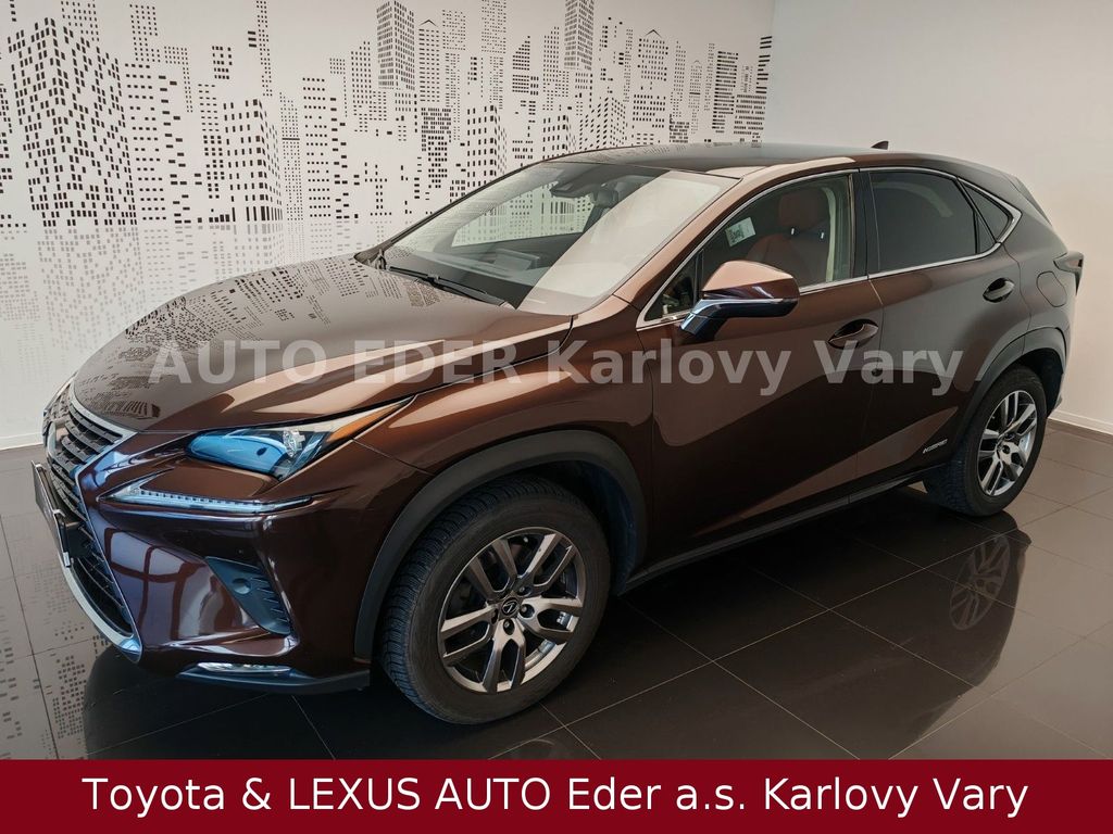 Lexus NX 300 2020