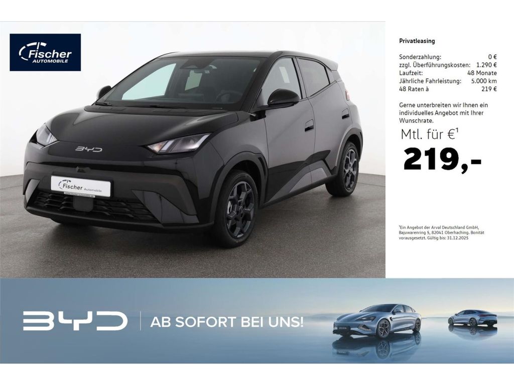 BYD DOLPHIN 2025