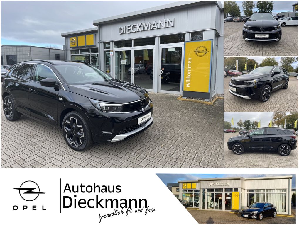 Opel Grandland (X) 2024