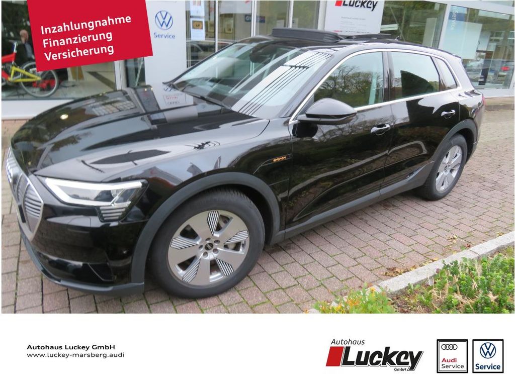 Audi e-tron 2021
