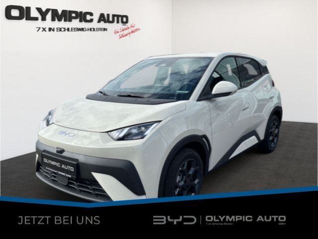 BYD DOLPHIN 2025
