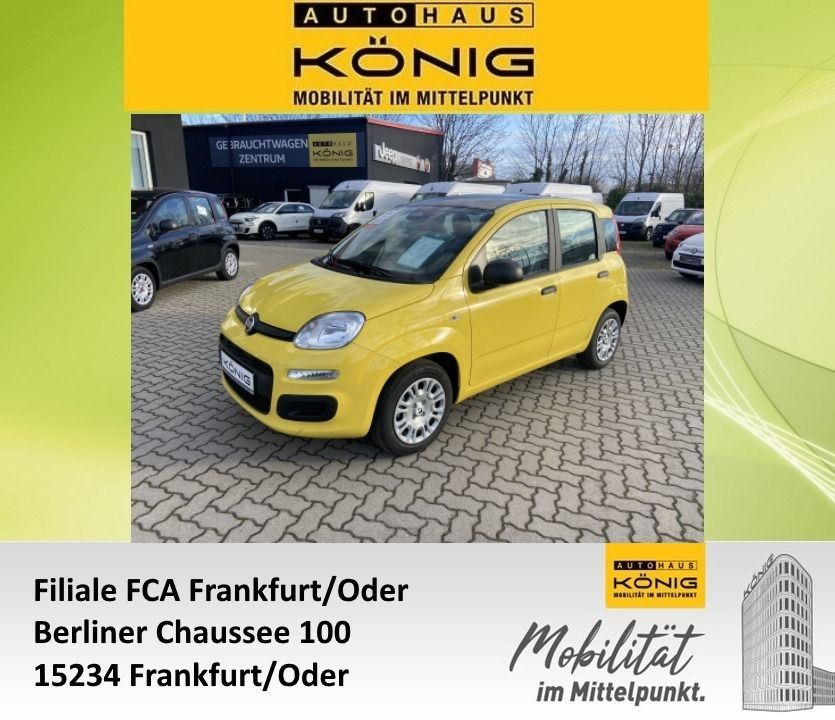 Fiat Panda 2025