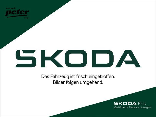 Skoda Fabia 2021