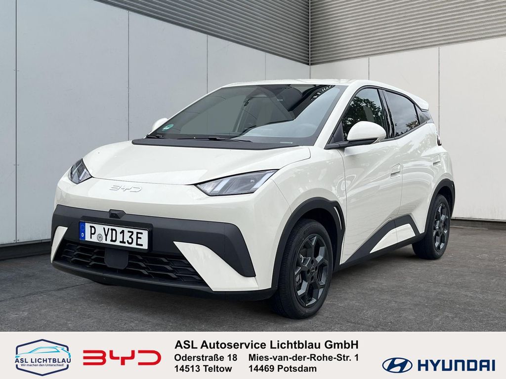 BYD Other 2025