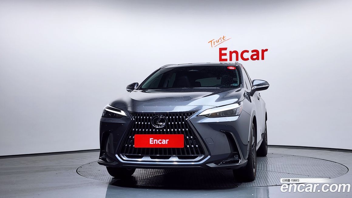 Lexus NX 2024