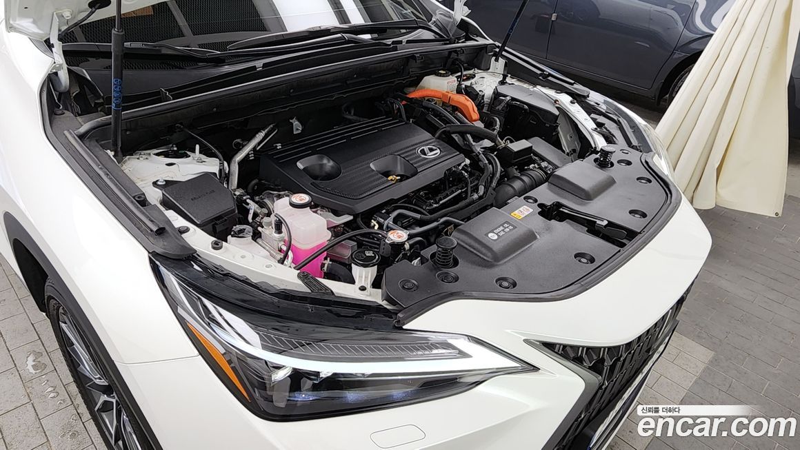 Lexus NX 2025