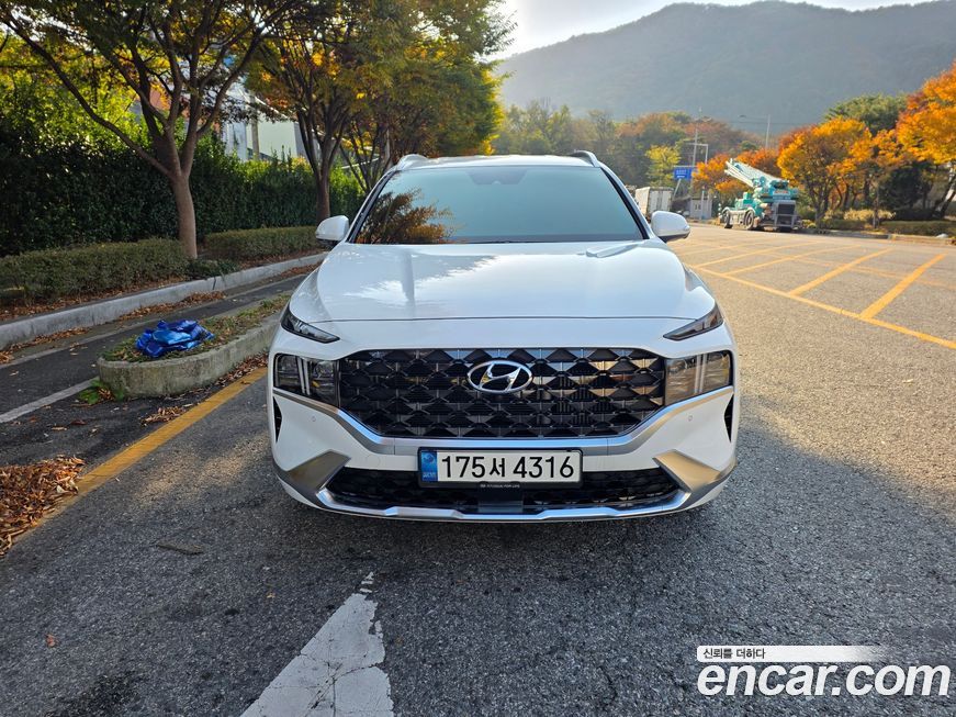 Hyundai Santafe 2021