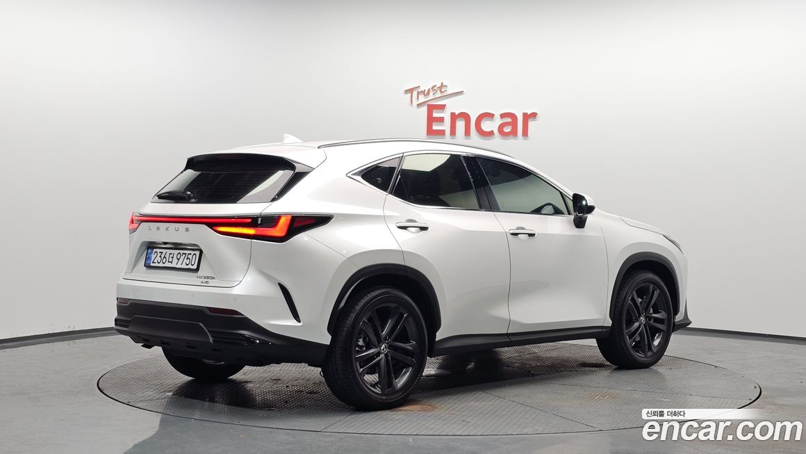Lexus NX 2025
