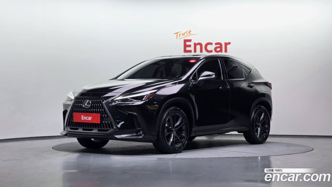 Lexus NX 2024