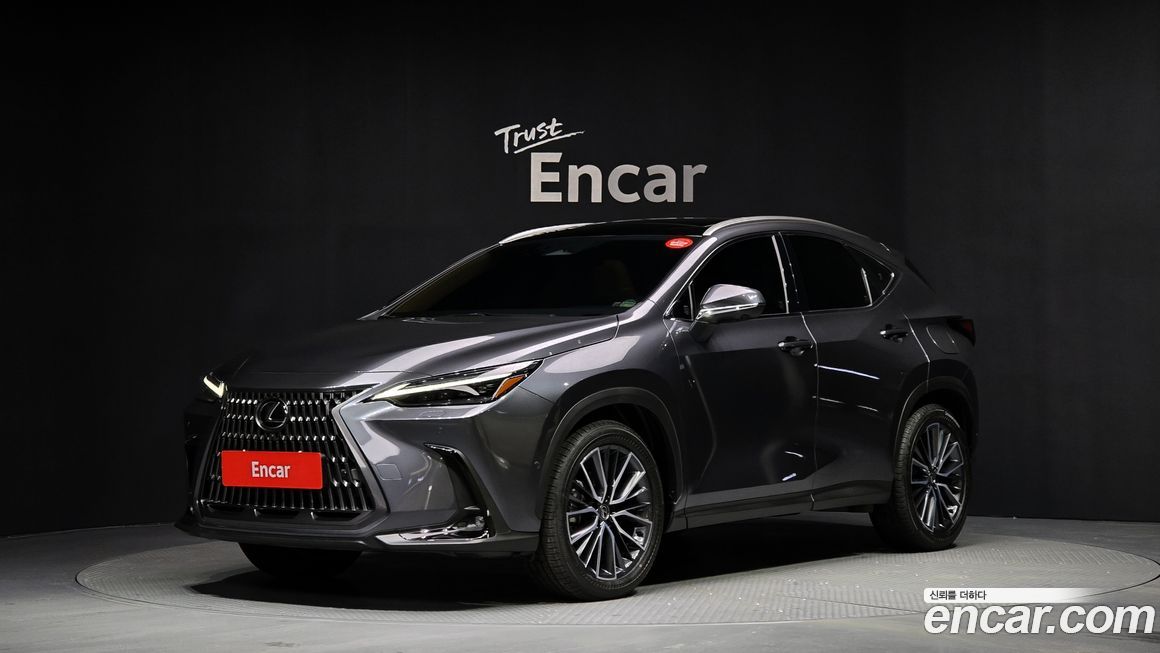 Lexus NX 2025