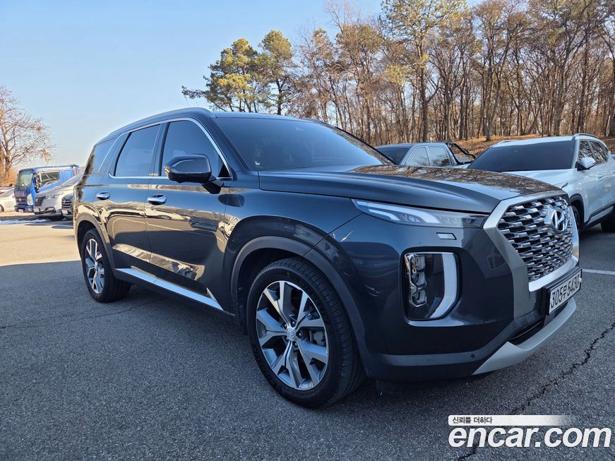 Hyundai Palisade 2019