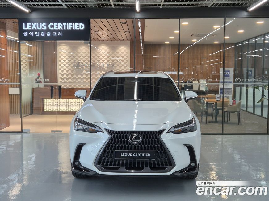 Lexus NX 2025