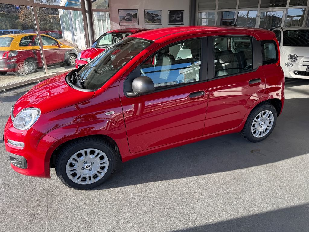 Fiat New Panda 2025
