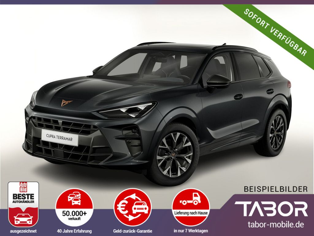 Cupra Terramar 2025