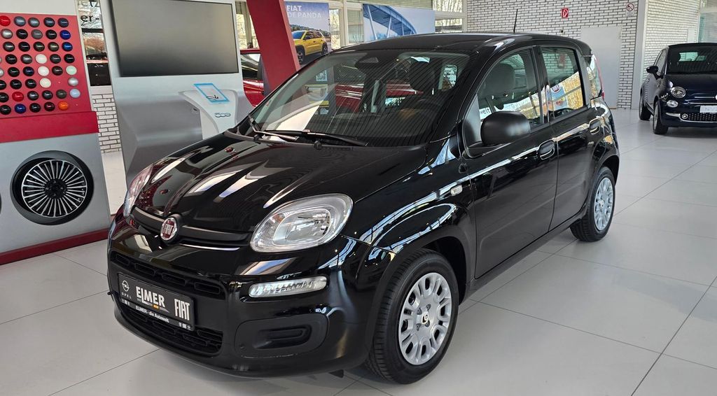 Fiat Other