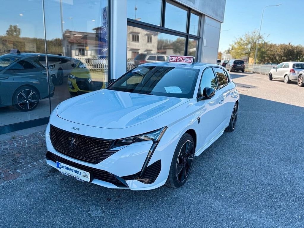 Other Other 2024