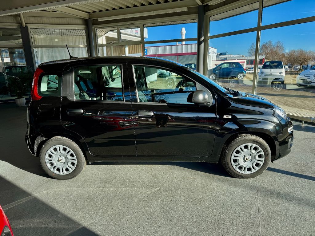 Fiat New Panda 2025