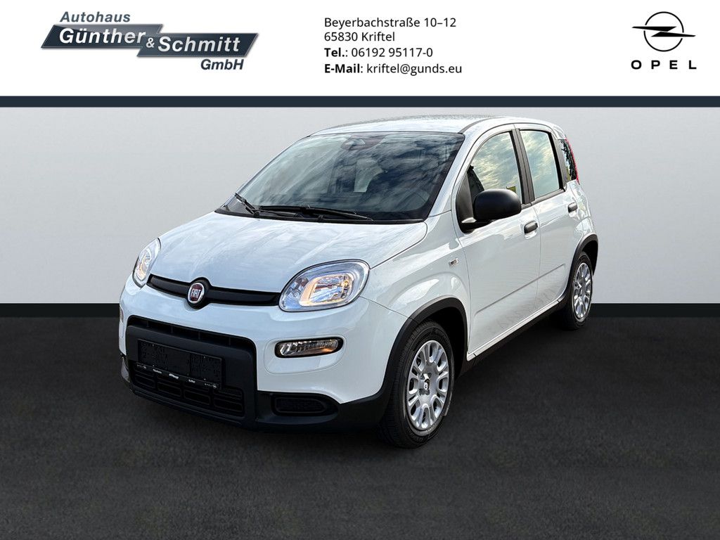 Fiat Panda 2024
