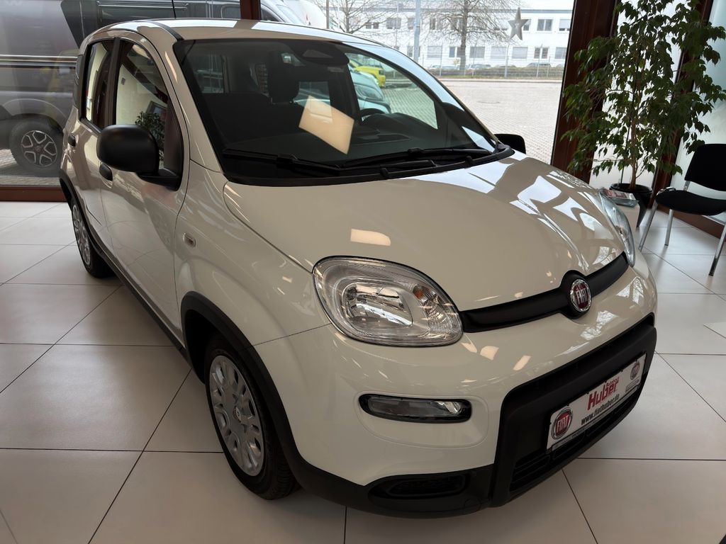 Fiat Panda 2024