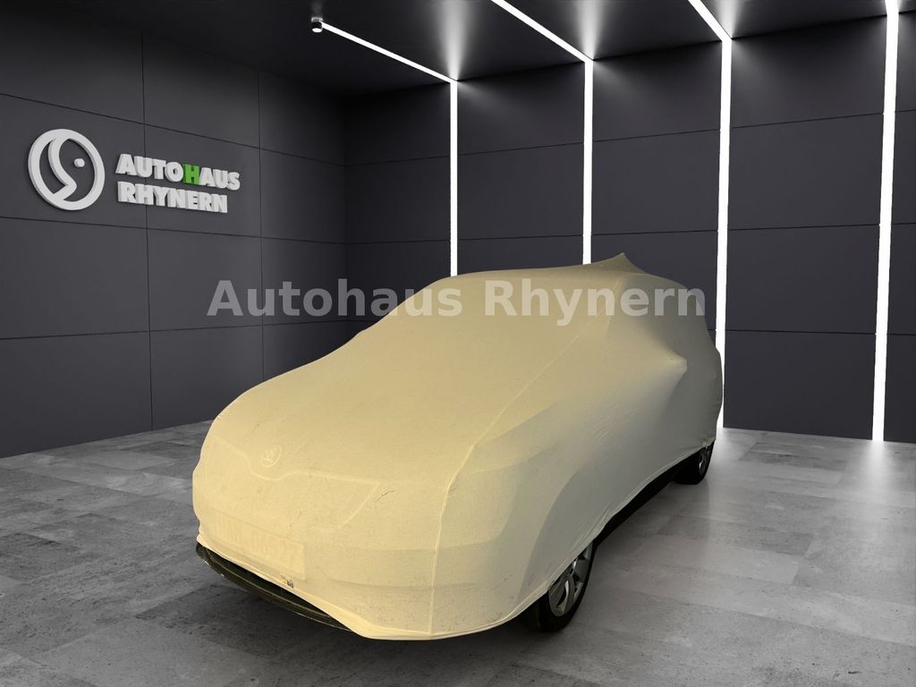 Cupra Terramar 2025