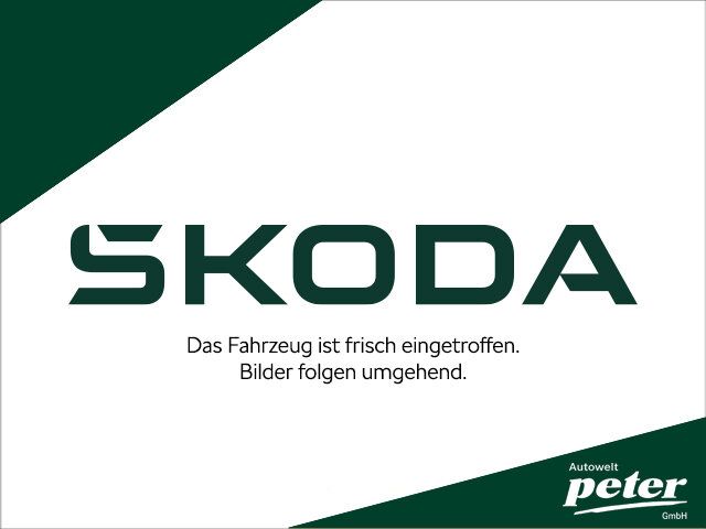 Skoda Kodiaq 2024