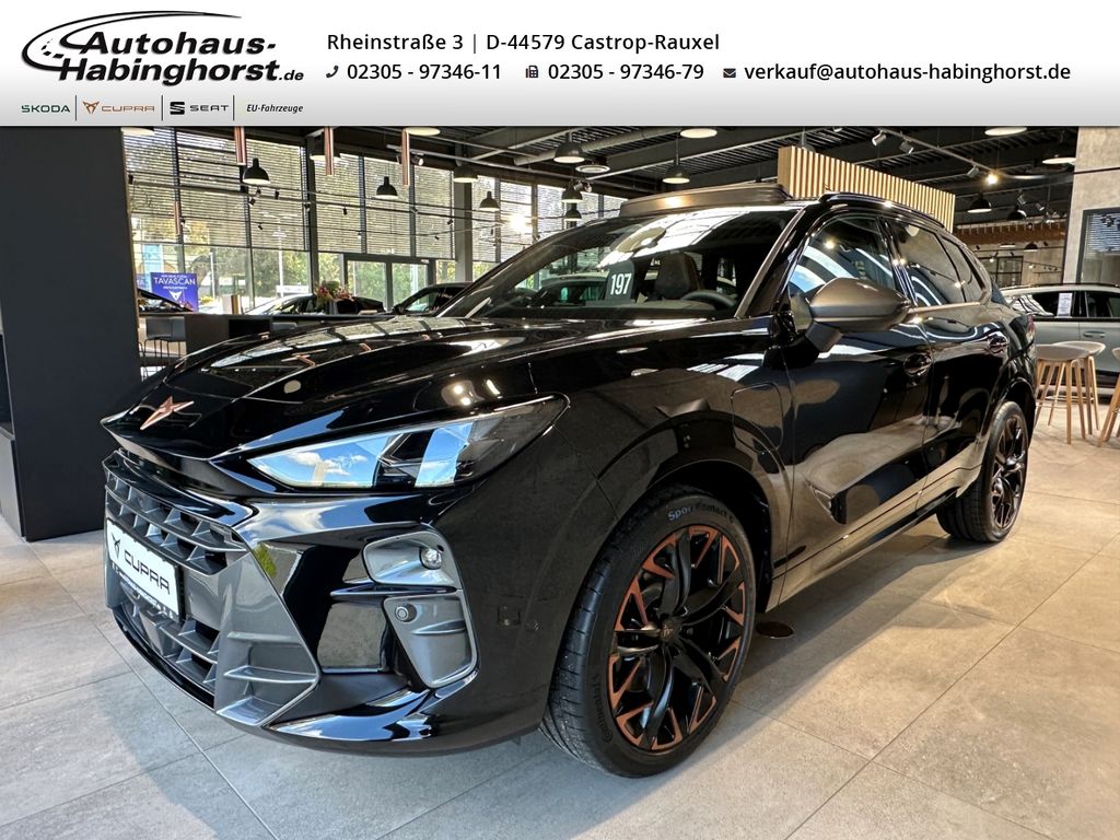 Cupra Terramar 2024