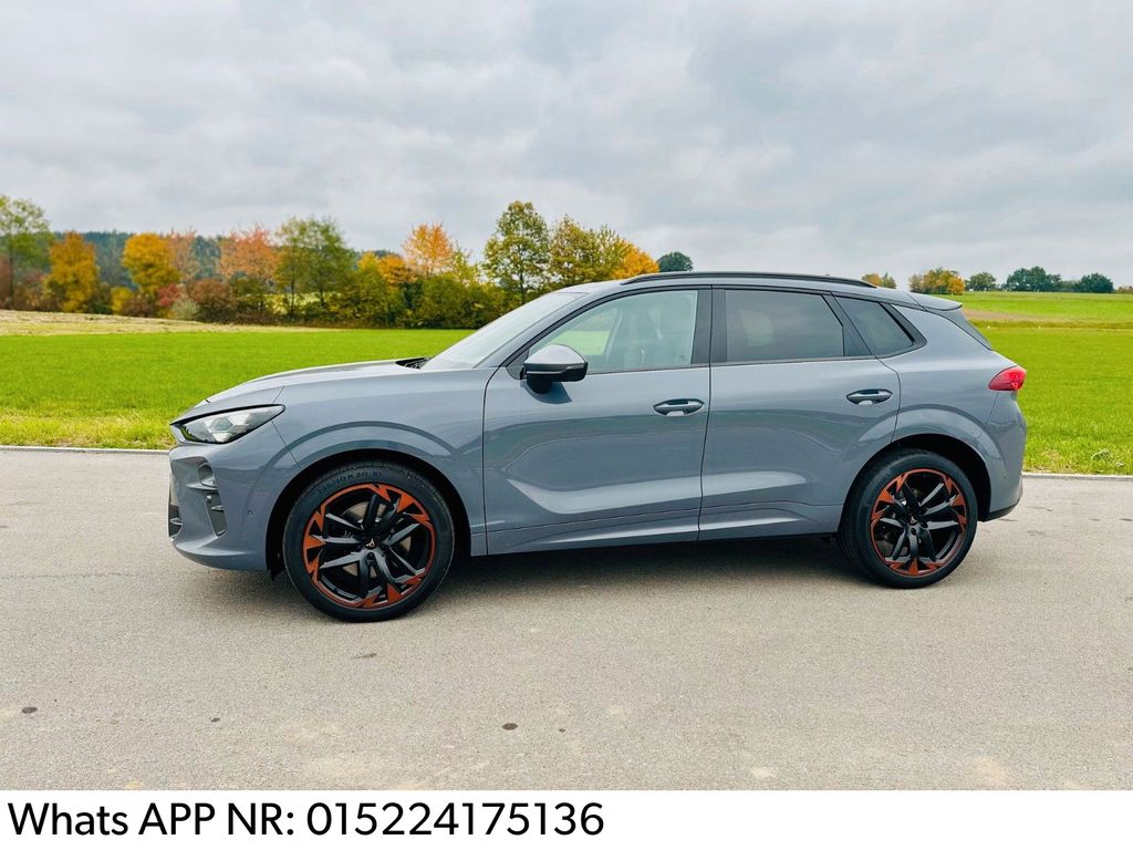 Cupra Terramar