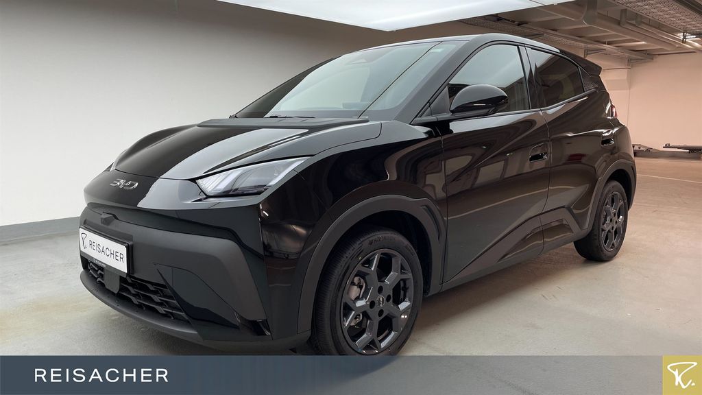 BYD DOLPHIN 2025