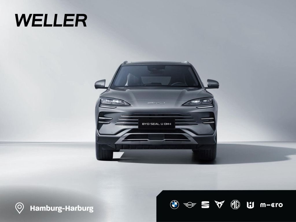 BYD Other