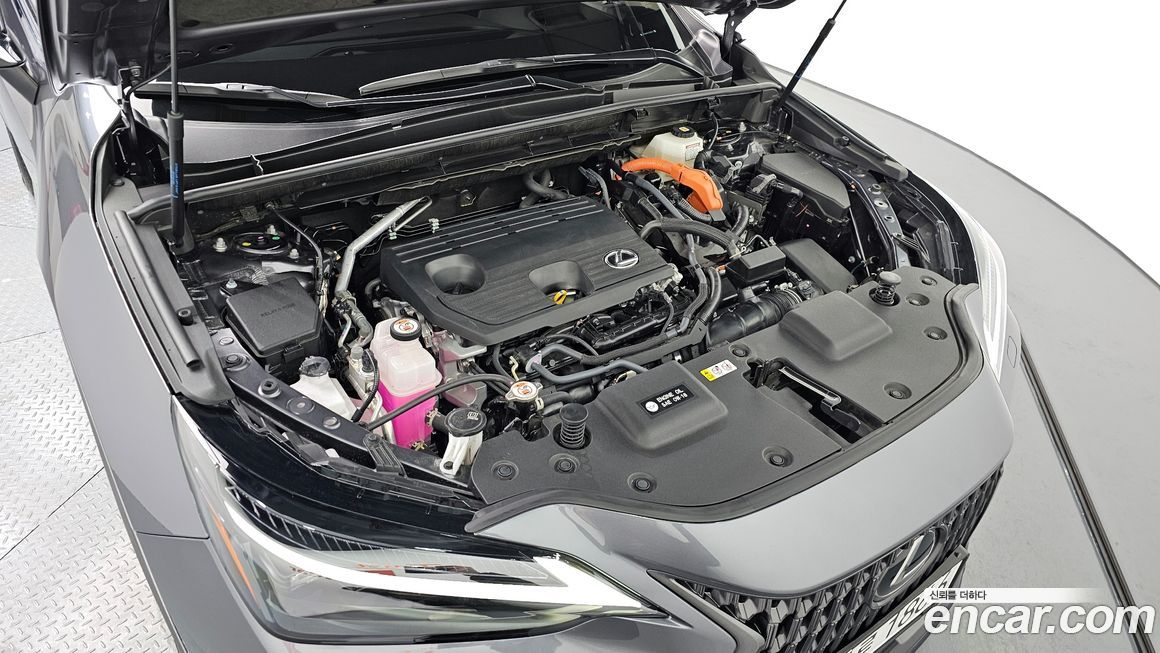 Lexus NX 2025