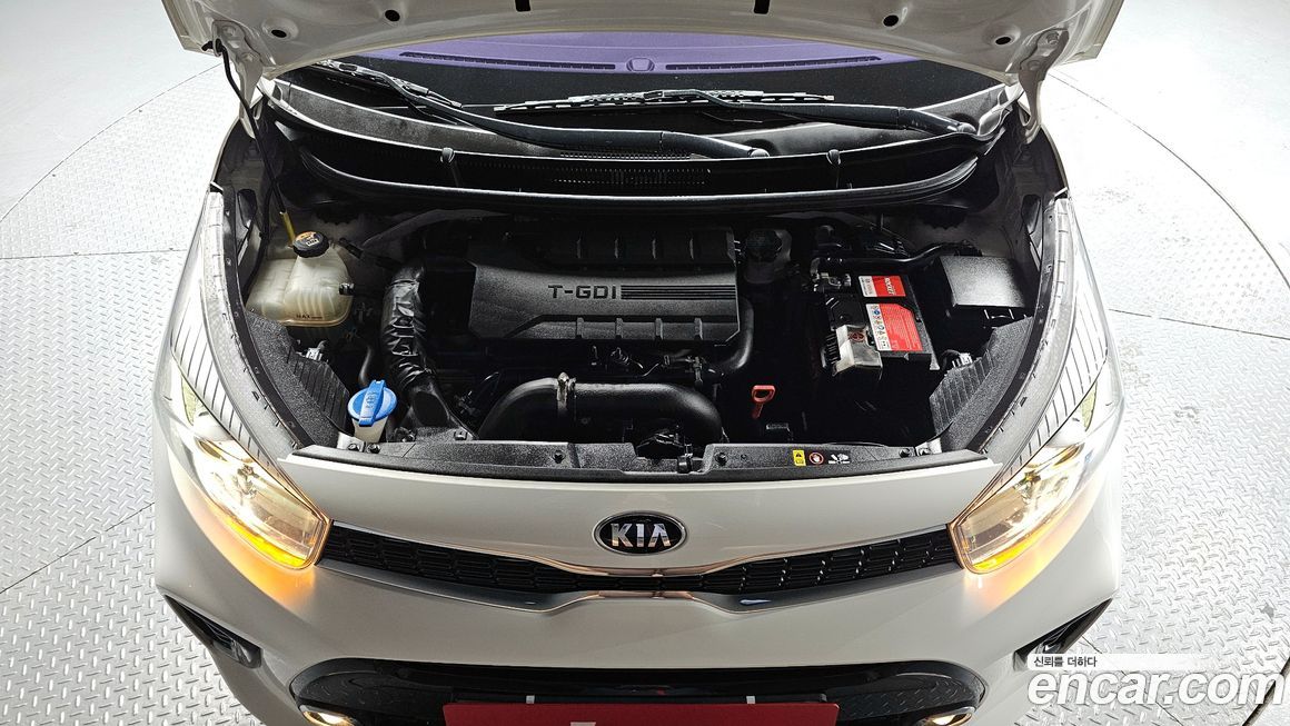 Kia morning 2019