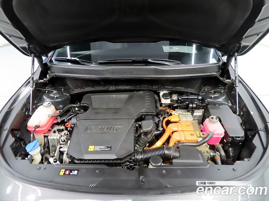 Kia Niro 2022