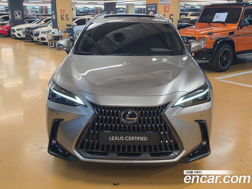 Lexus NX 2025