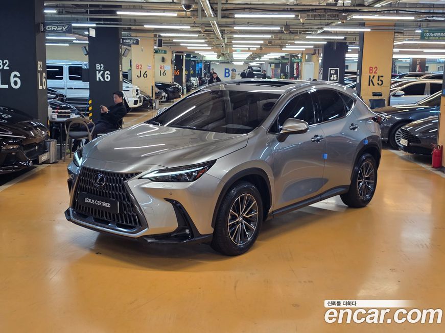 Lexus NX 2025
