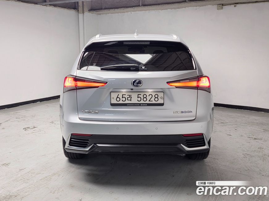 Lexus NX 2019