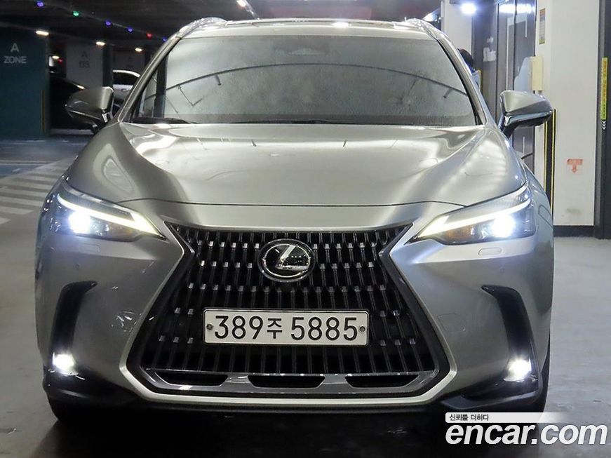 Lexus NX 2022