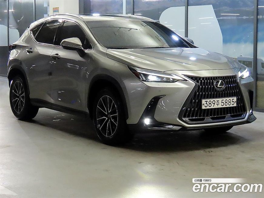 Lexus NX 2022